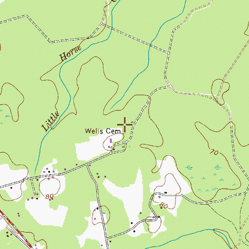 Topographic Map of Wells Cemetery, GA