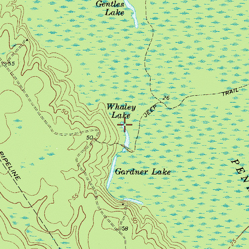 Topographic Map of Whaley Lake, GA