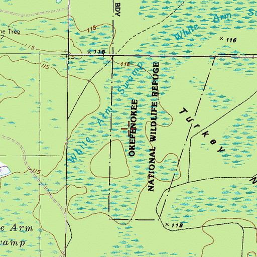 Topographic Map of White Arm Swamp, GA