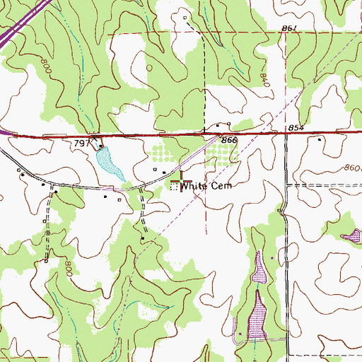 Topographic Map of White Cemetery, GA