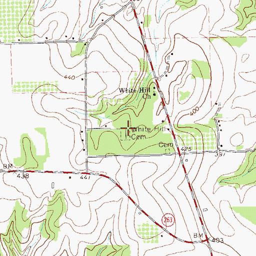 Topographic Map of White Hill Cemetery, GA