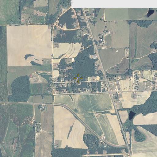 Aerial/Satellite Image of White Hill Cemetery, GA