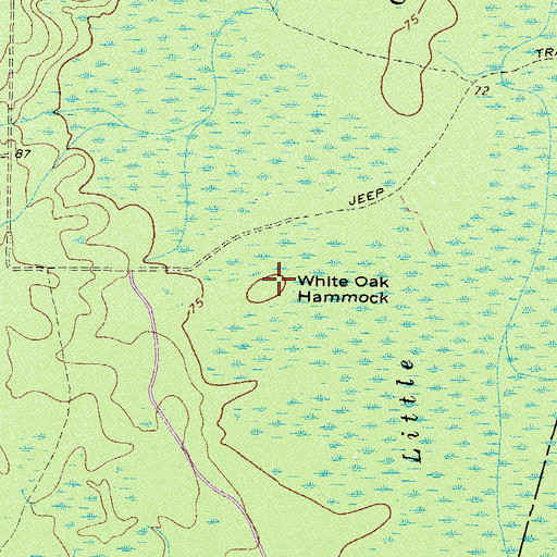 Topographic Map of White Oak Hammock, GA