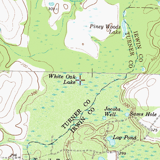 Topographic Map of White Oak Lake, GA