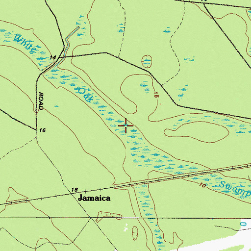 Topographic Map of White Oak Swamp, GA
