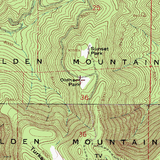 Topographic Map of Oldham Park, AZ