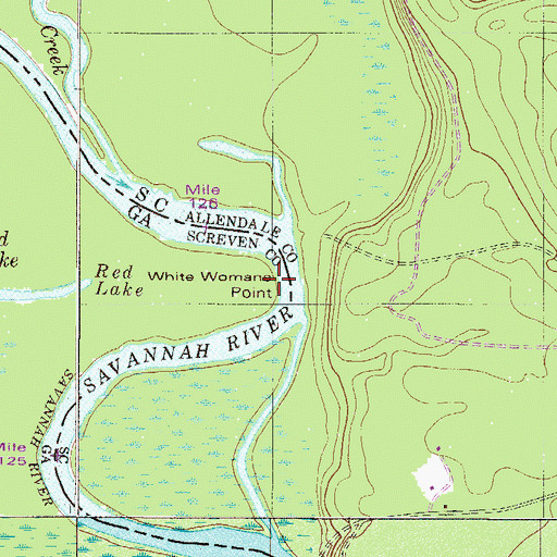 Topographic Map of White Womans Point, GA