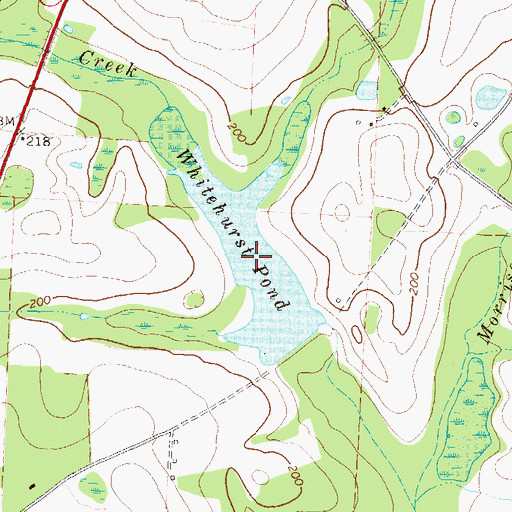 Topographic Map of Whitehurst Pond, GA