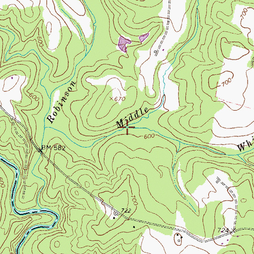 Topographic Map of Whitlow Creek, GA