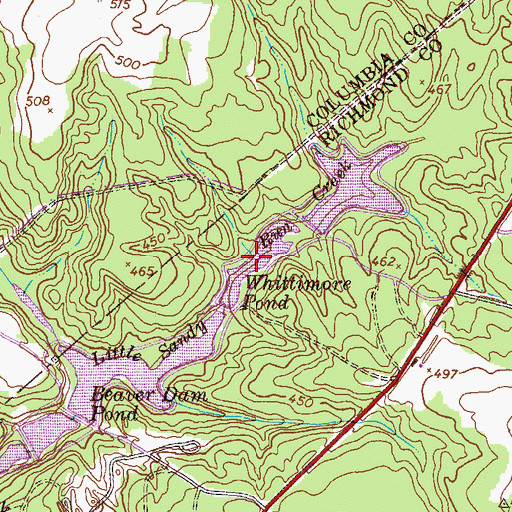 Topographic Map of Whittimore Pond, GA