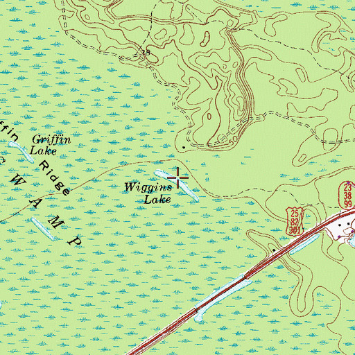 Topographic Map of Wiggins Lake, GA