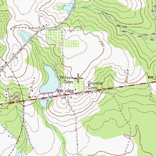 Topographic Map of Wilcox Cemetery, GA
