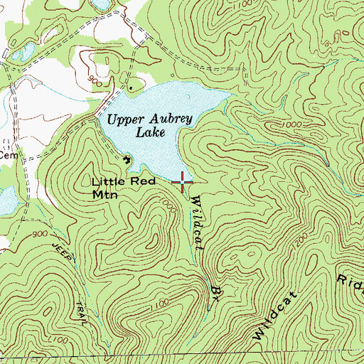 Topographic Map of Wildcat Branch, GA