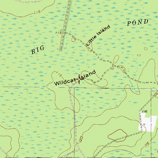 Topographic Map of Wildcat Island, GA