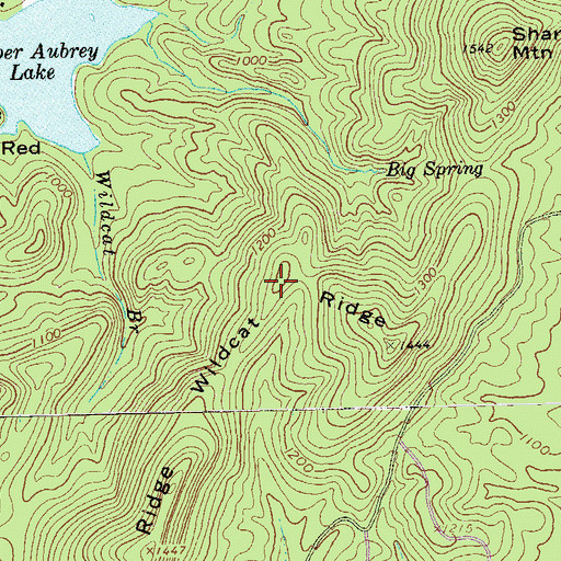 Topographic Map of Wildcat Ridge, GA
