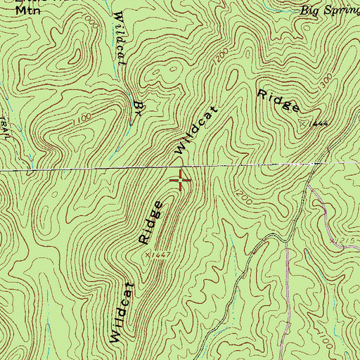 Topographic Map of Wildcat Ridge, GA