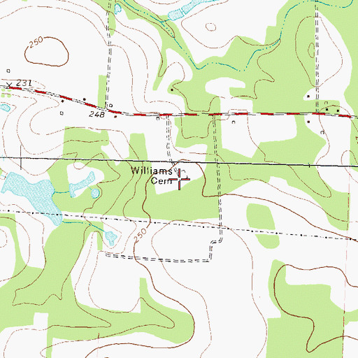 Topographic Map of Williams Cemetery, GA
