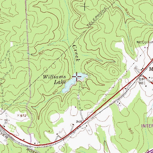Topographic Map of Williams Lake, GA