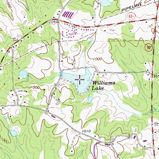 Topographic Map of Williams Lake, GA