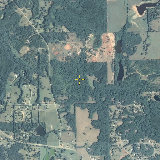 Aerial/Satellite Image of Willingham Spring Creek, GA