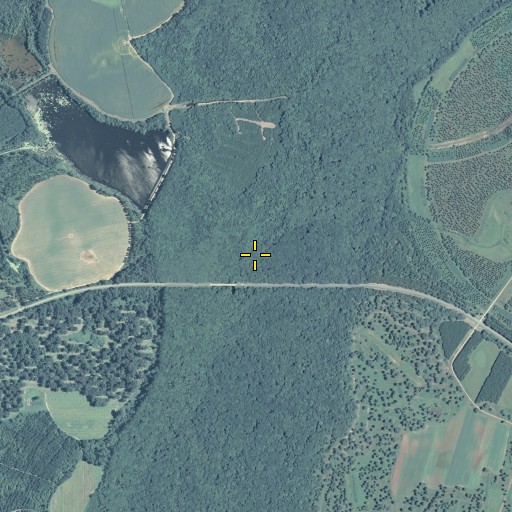 Aerial/Satellite Image of Willow Branch, GA