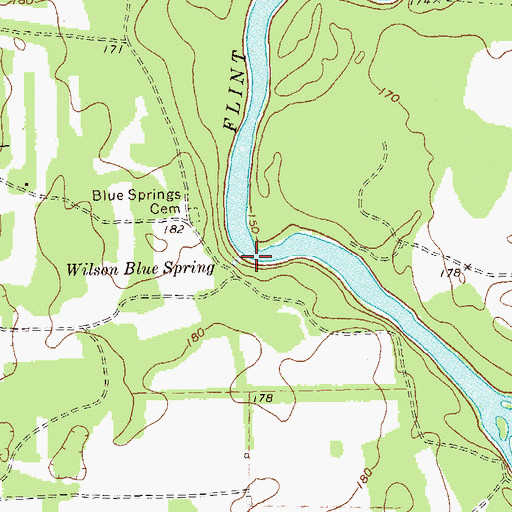 Topographic Map of Wilson Blue Spring, GA