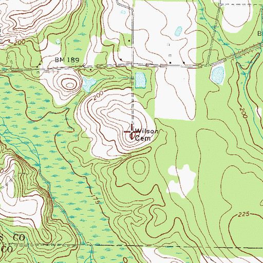 Topographic Map of Wilson Cemetery, GA