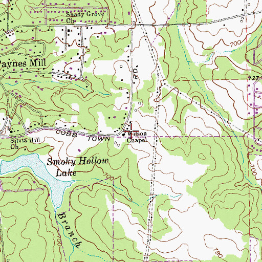 Topographic Map of Wilson Chapel, GA
