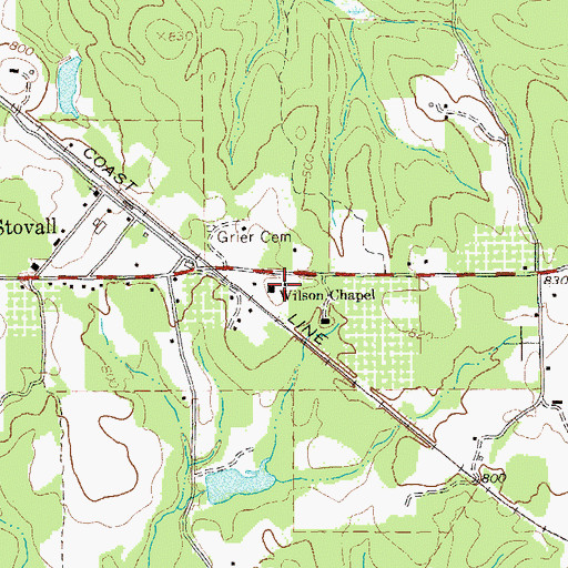 Topographic Map of Wilson Chapel, GA