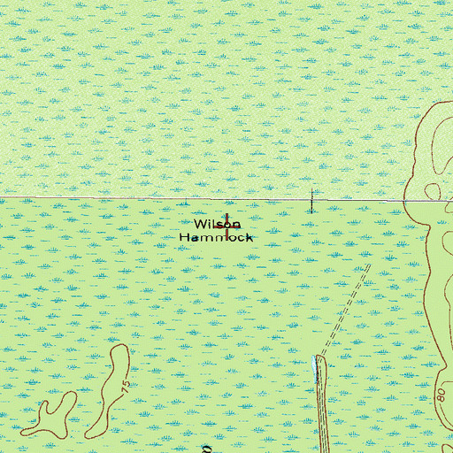 Topographic Map of Wilson Hammock, GA