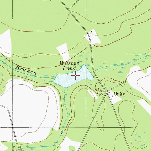 Topographic Map of Wilsons Pond, GA