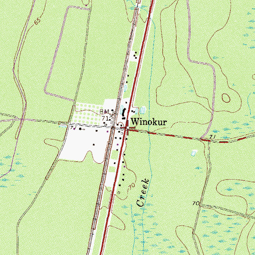 Topographic Map of Winokur, GA