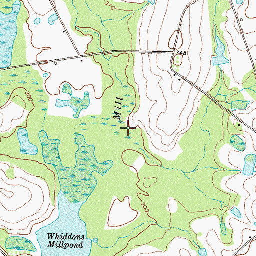 Topographic Map of Wiregrass Branch, GA