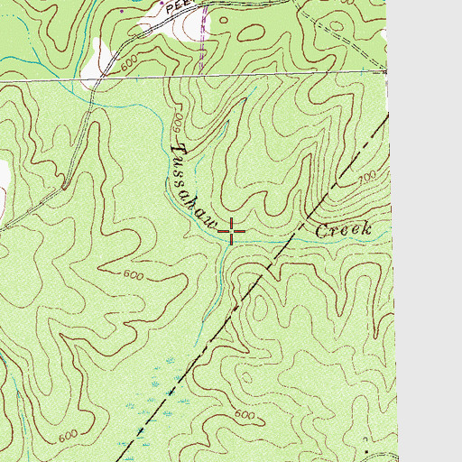 Topographic Map of Wolf Creek, GA