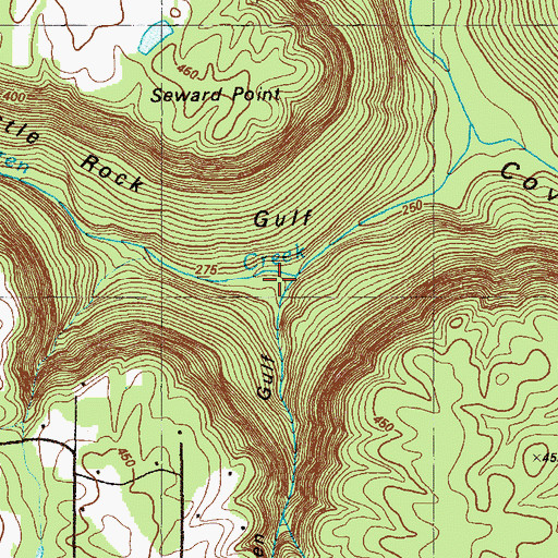 Topographic Map of Wolfpen Gulf, GA