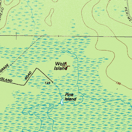 Topographic Map of Wolf Island, GA