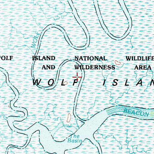 Topographic Map of Wolf Island, GA