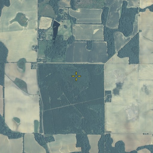 Aerial/Satellite Image of Wolf Pit Pond, GA