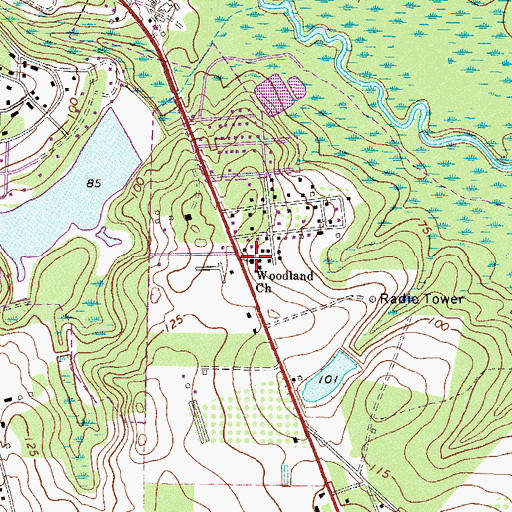 Topographic Map of Woodland Church, GA