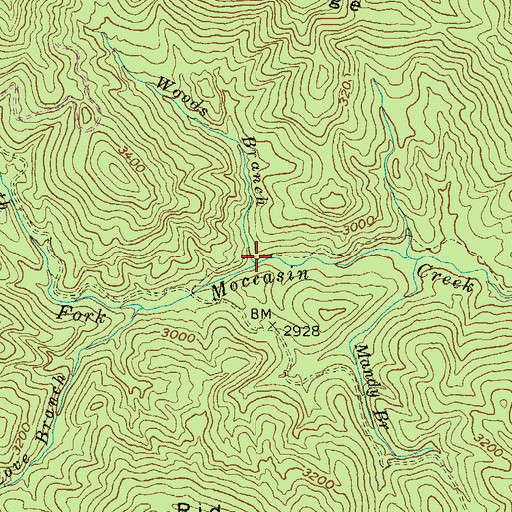 Topographic Map of Woods Branch, GA