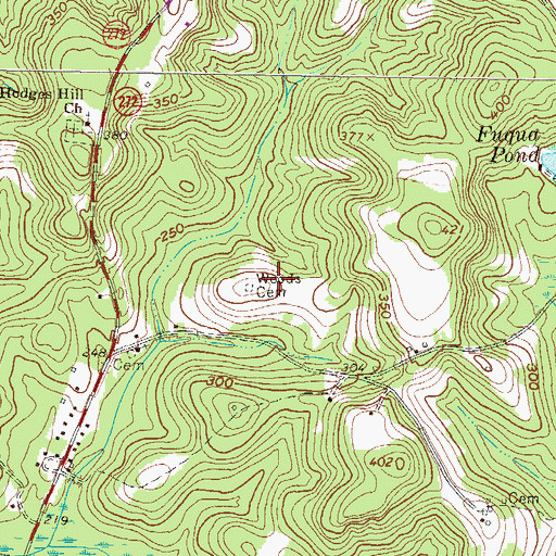 Topographic Map of Woods Cemetery, GA