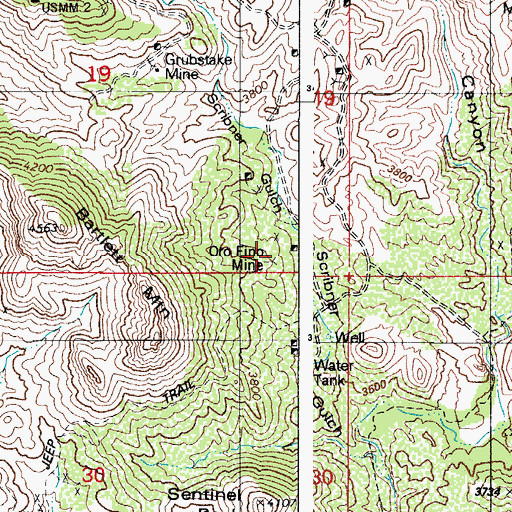 Topographic Map of Oro Fino Mine, AZ