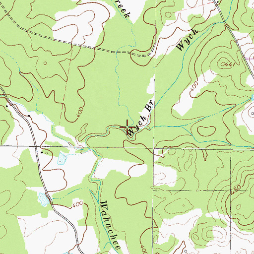 Topographic Map of Wych Branch, GA