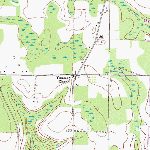 Topographic Map of Youman Chapel, GA