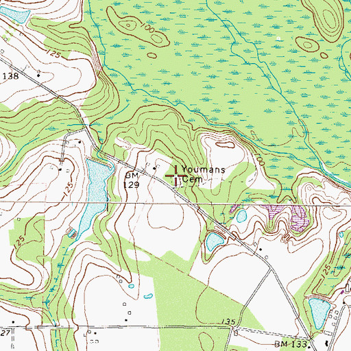 Topographic Map of Youmans Cemetery, GA