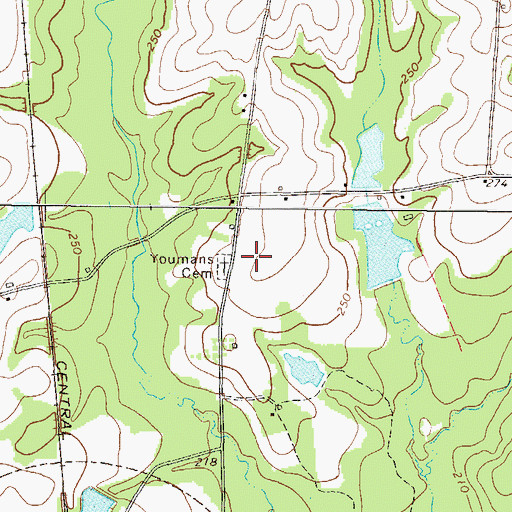 Topographic Map of Youmans Cemetery, GA