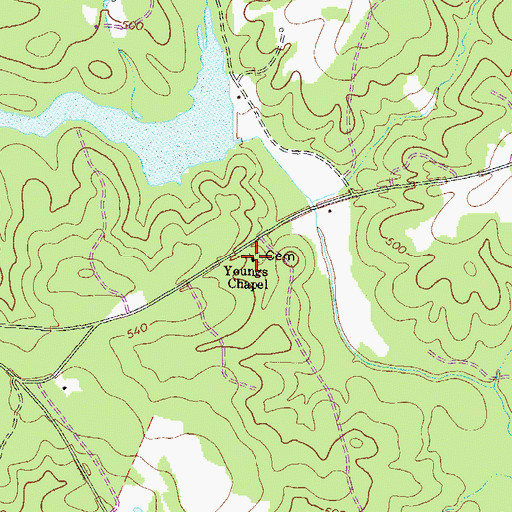 Topographic Map of Youngs Chapel, GA