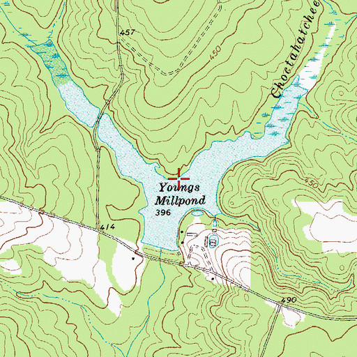 Topographic Map of Youngs Millpond, GA