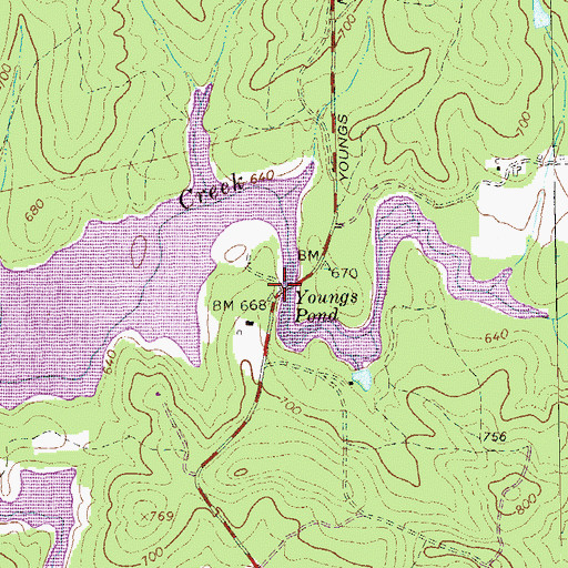 Topographic Map of Youngs Pond, GA