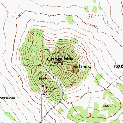 Topographic Map of Ortega Mountain, AZ